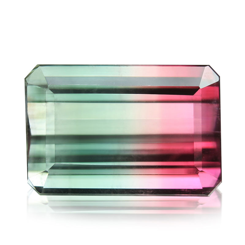 Watermelon / bi-color
